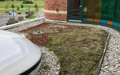 Roof Landscape Installation – Children’s Mercy Hospital Kansas