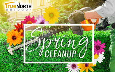 Spring Cleanup